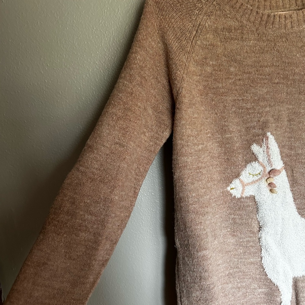 Lauren Conrad Llama Sweater - Picture 3 of 6